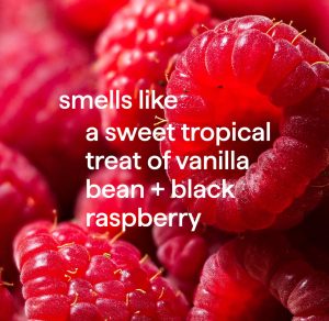 gel hand wash – vanilla + raspberry. 12 fl oz