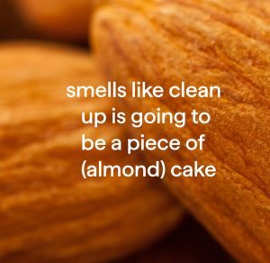 squirt + mop hardwood floor cleaner – almond. 25 fl oz