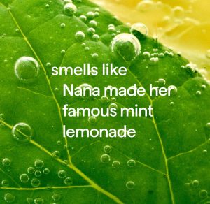 dish soap – lemon mint. 18 fl oz