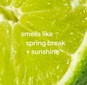 all-purpose cleaning wipes – lime + sea salt. 30 ct